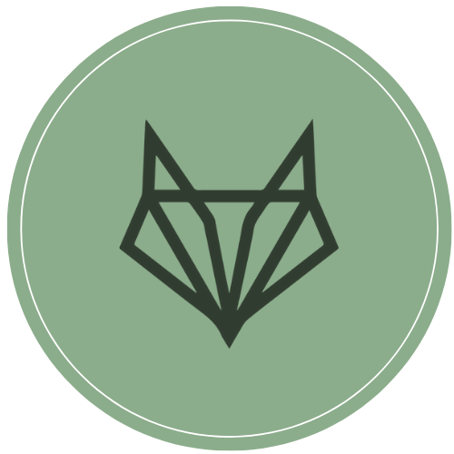 Yoga for Beginners by Yoga Raccoon